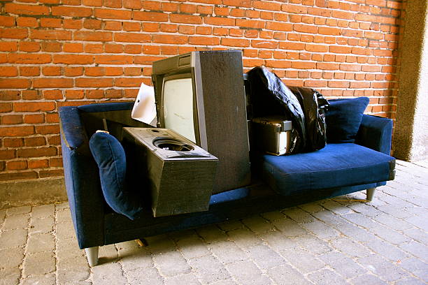 Best Electronics Removal Services  in Wanamingo, MN